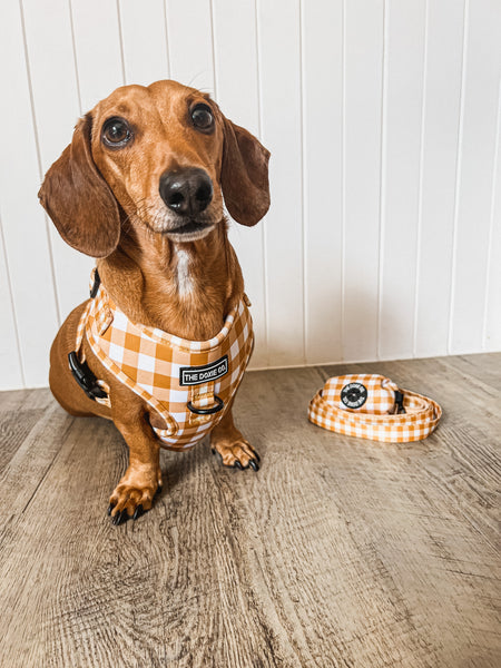 Golden Gingham - Adjustable Harness