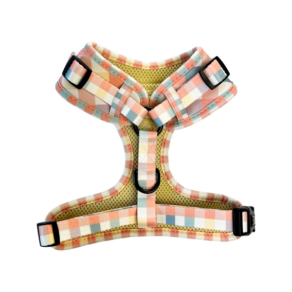 Pastel Dreams - Adjustable Harness